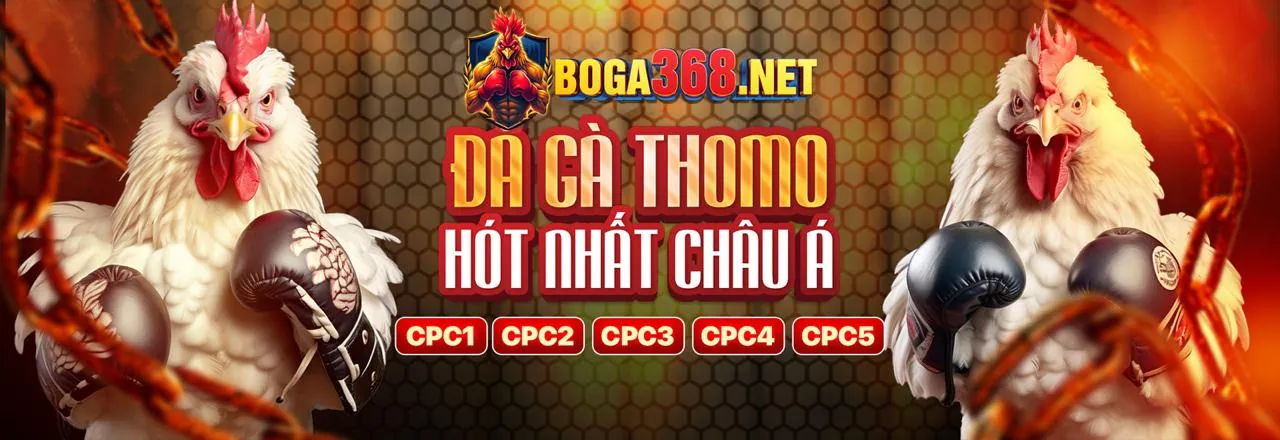 Hình ảnh Điều khoản dịch vụ của 333666v
